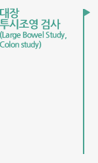 대장 
투시조영 검사 (Large Bowel Study, Colon study)